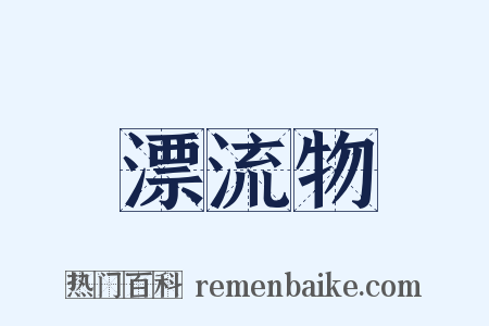 漂流物是什么意思的图片